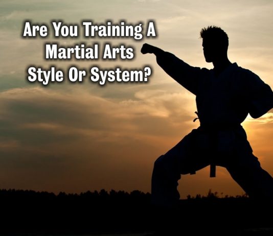 Martial Arts Style Or System