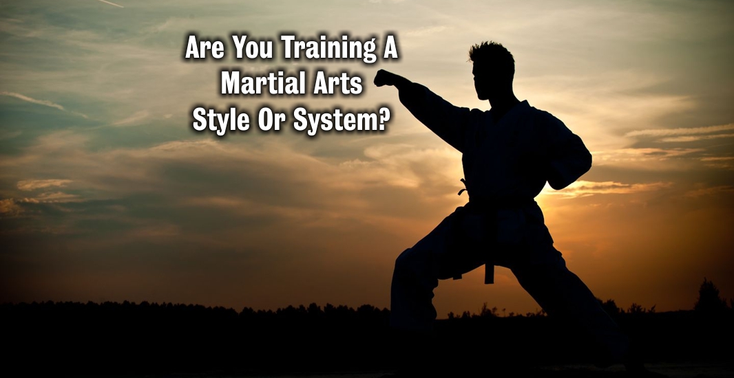 Martial Arts Style Or System