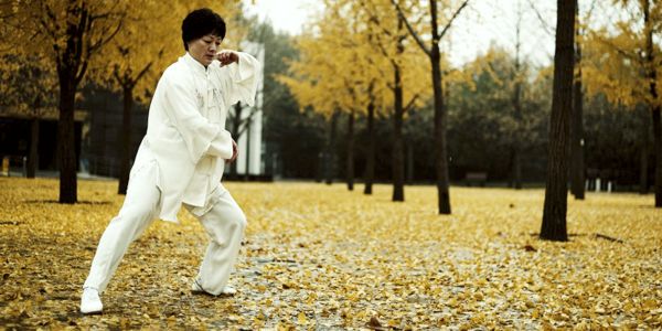 Lu Yan Wushu