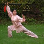 Li Jing Wushu