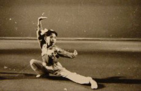 Lu Yan Wushu