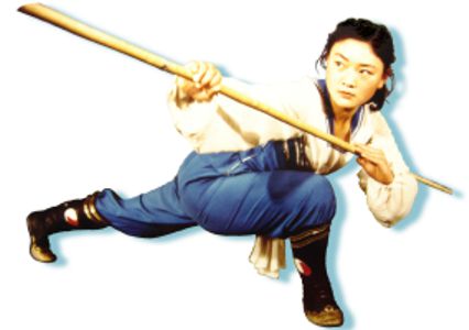 Lu Yan Wushu