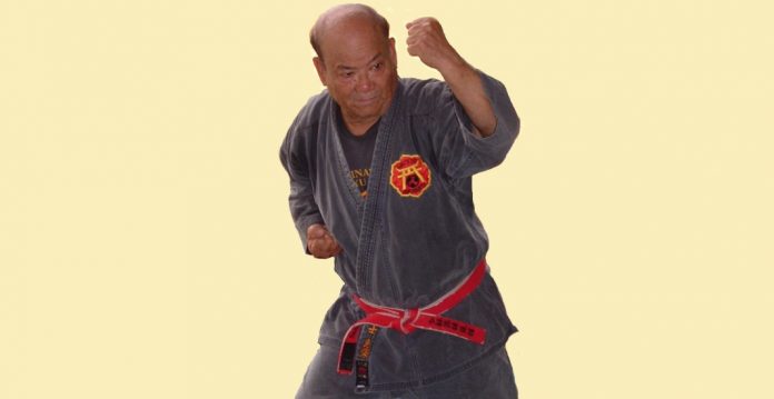 Eizo Shimabukuro Shobayashi-ryu