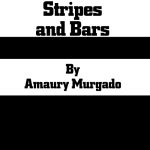 Stripes and Bars by Amaury Murgado