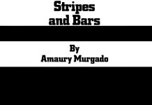 Stripes and Bars by Amaury Murgado