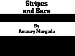 Stripes and Bars by Amaury Murgado