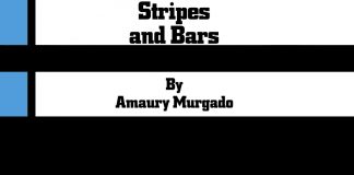 Stripes and Bars by Amaury Murgado