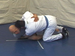 Guard Sweep 45 Degree 5