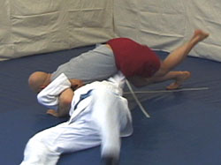 Guard Sweep 45 Degree 7