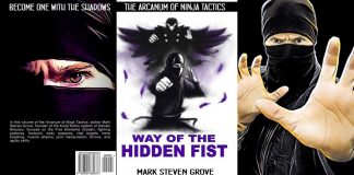 Arcanum of Ninja Tactics: Way of the Hidden Fist