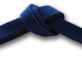 Blue Belt in Martial Arts