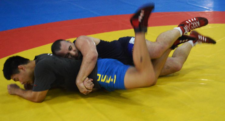 Parallel Development of Chinese and Western Wrestling