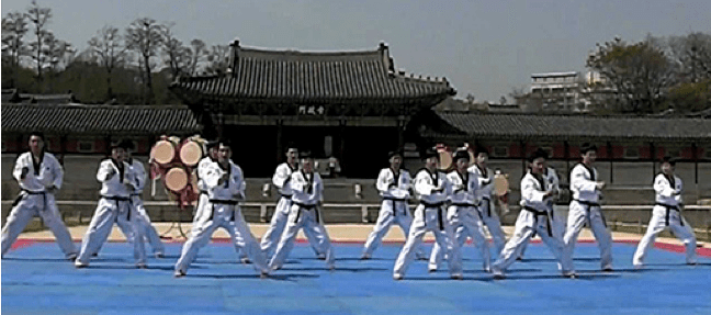 Taekwondo