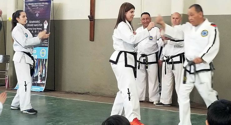 Grand Master Hwang Argentina Seminar 2019