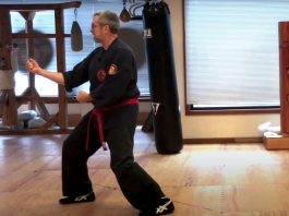 Chris Thomas discussing applications of Wansu Kata