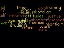 Key mind sets and attitudes found in advanced martial artists