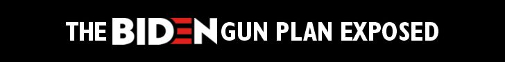 The BIDEN Gun Plan Expose