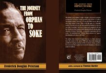 The Journey From Orphan To Soke by Frederick Douglas Peterson