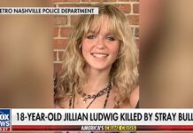 Jullian Ludwig Killed By Stray Bullet